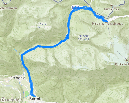 Stelvio Bormio